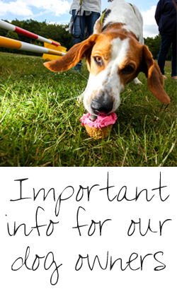 Important information for our dog owners that may affect your groom